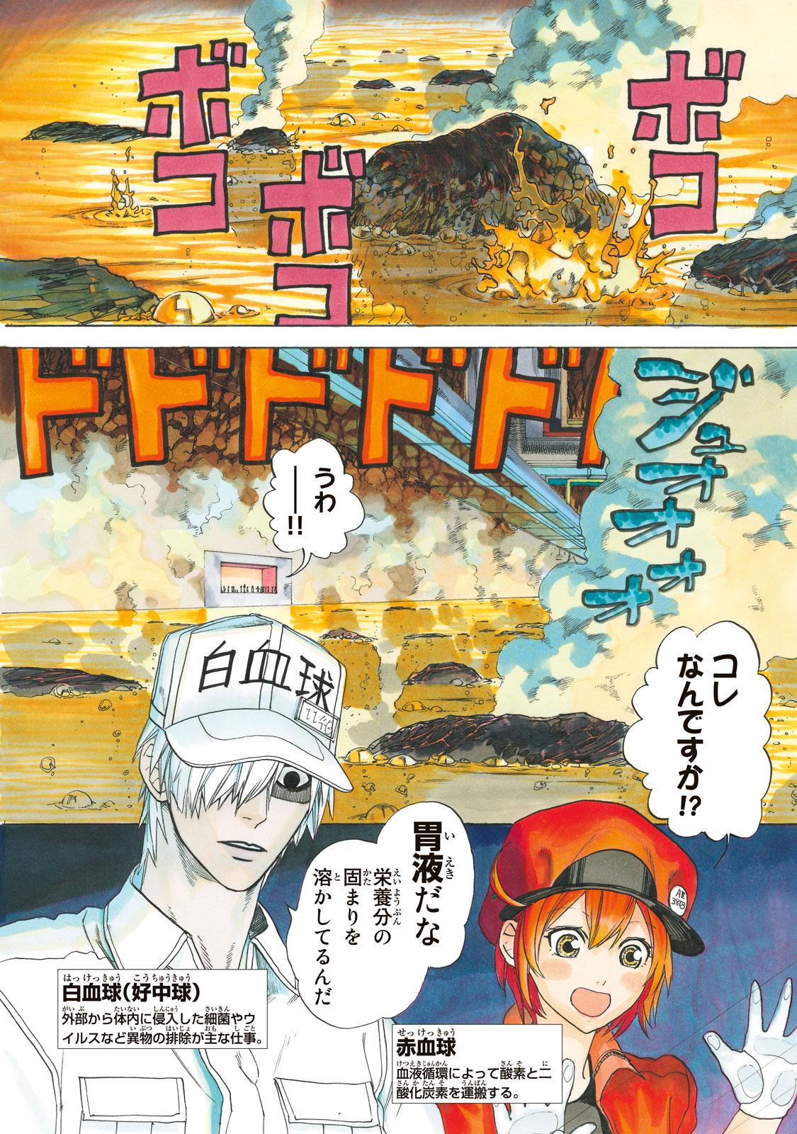 Hataraku Saibou - Chapter 5 - Page 4